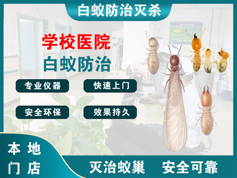 桐乡学校医院白蚁防治