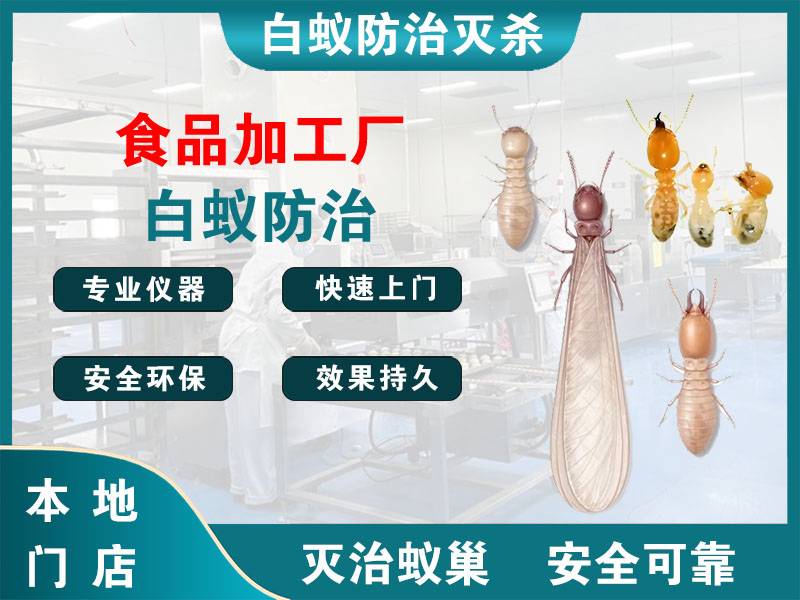 桐乡食品加工厂白蚁防治