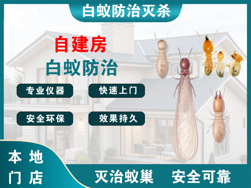 桐乡自建房白蚁防治