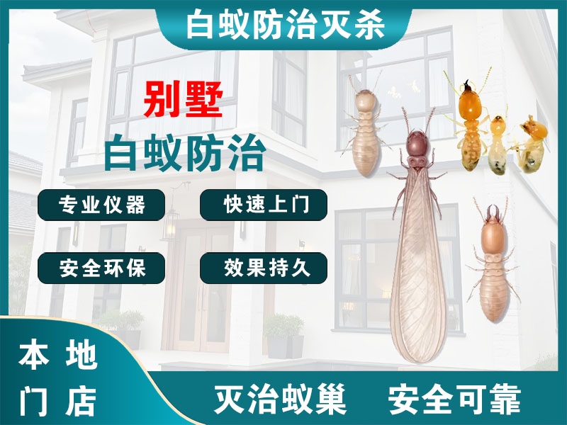 桐乡别墅白蚁防治