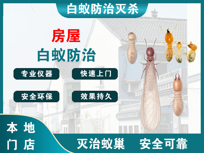 桐乡房屋白蚁防治